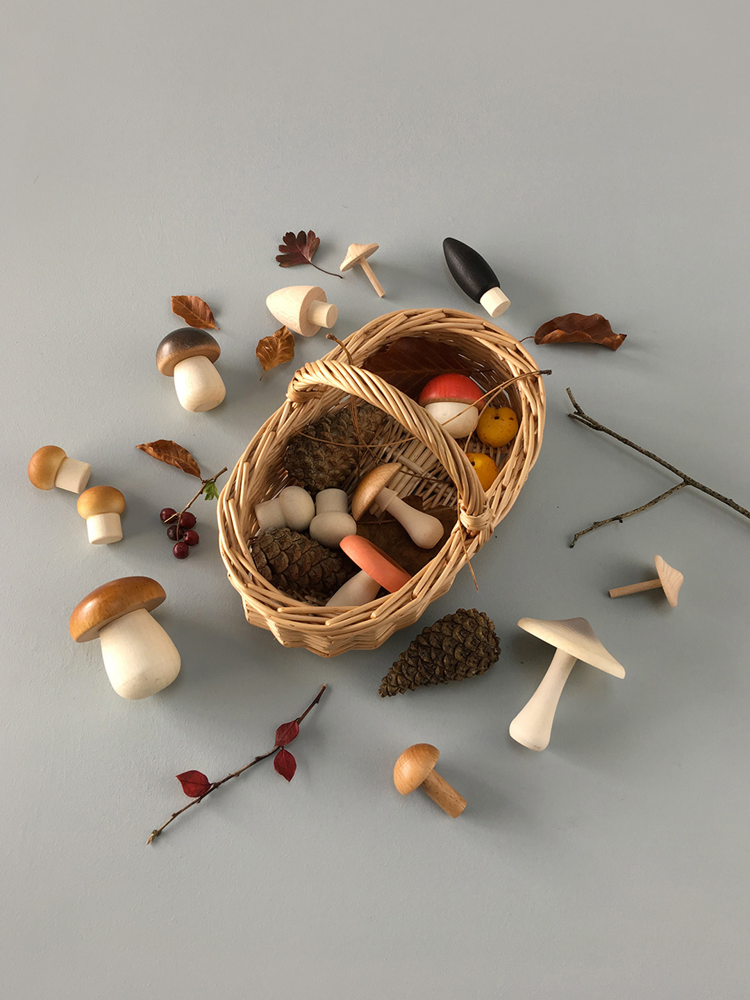 Details about   Pretend food Forest wood Food toys Forest toy Wooden mushrooms Mushroom forest 