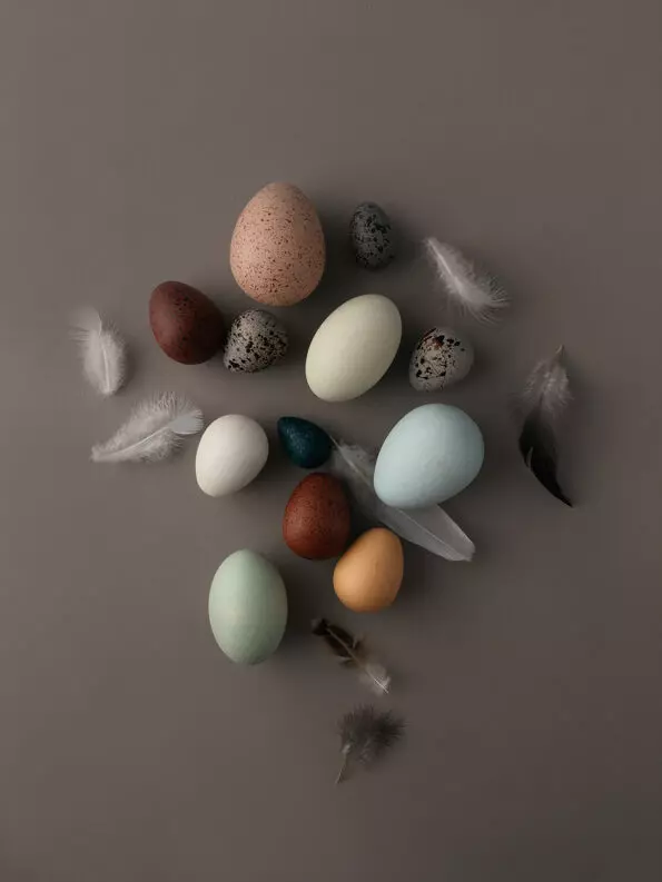 Egg Shaker – Rock-a-Baby